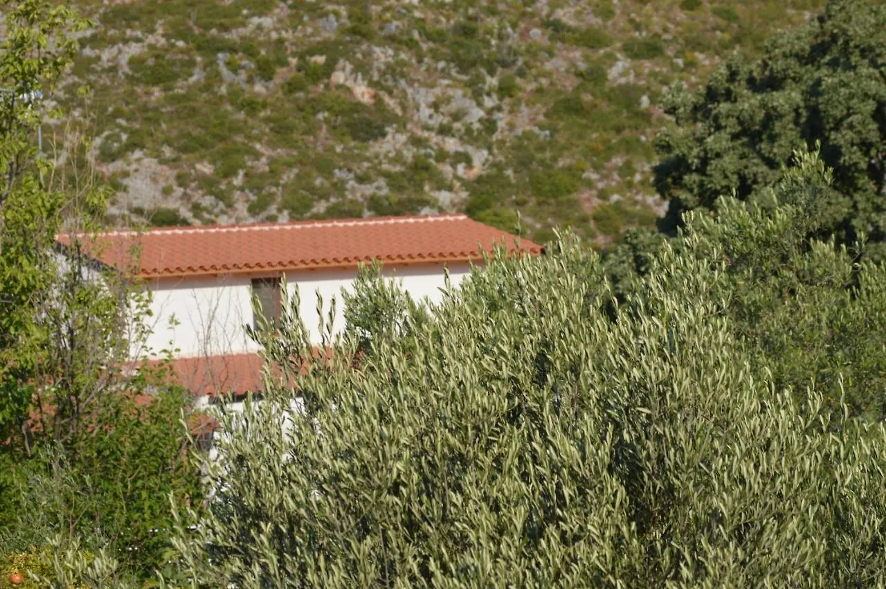 Tolis Rooms Himarë Albania